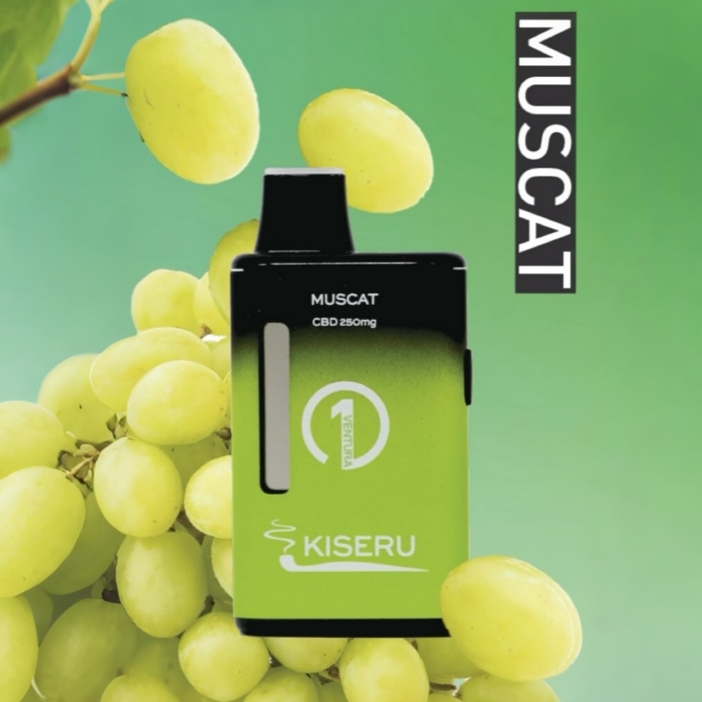 通販オンラインショッピングモール +U／プラスユー